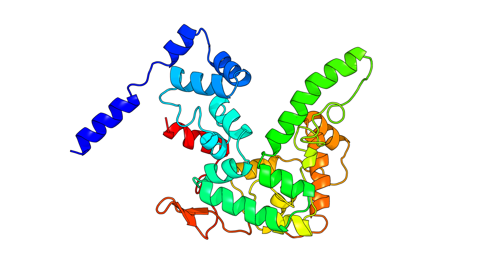 Protein Structure 1